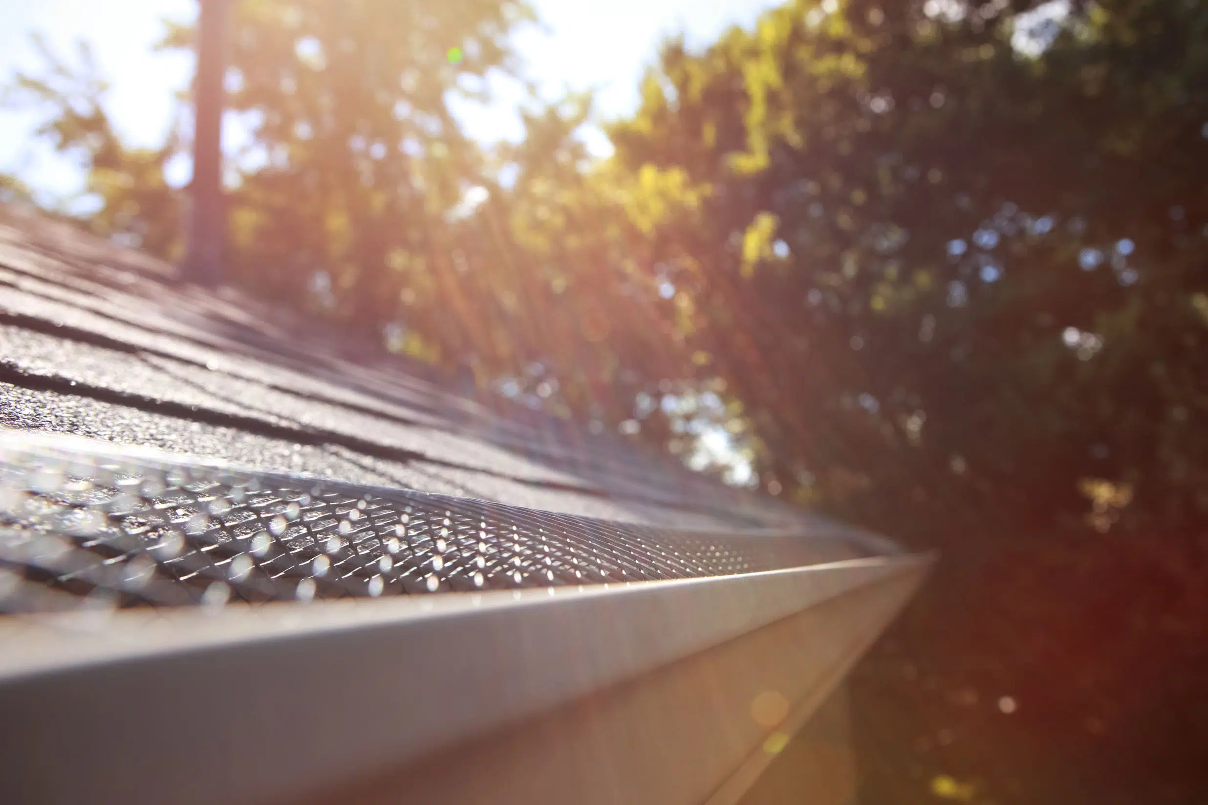 Toiture maison avec gouttière protégée par anti feuilles